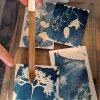Initiation cyanotype - Samedi 4 octobre 2025 10h-12h - Image 4