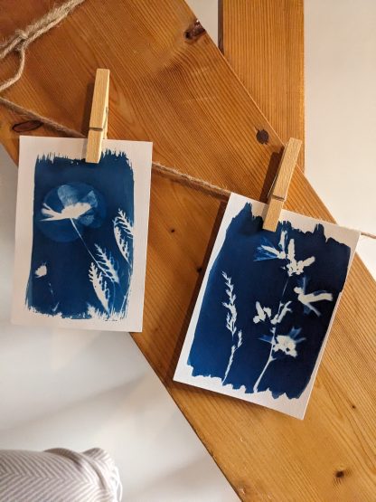 Initiation cyanotype - Samedi 15 novembre 2025 14h-16h