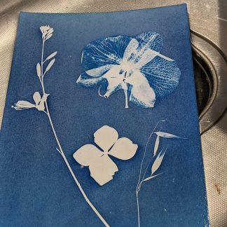 Initiation au cyanotype - Jeudi 29 janvier 2026 De 14h à 16h
