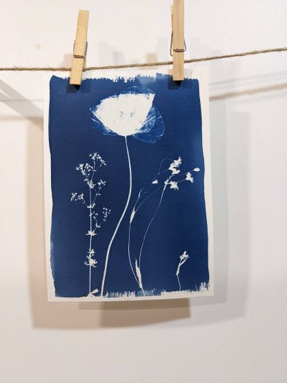 Initiation cyanotype - Vendredi 14 novembre 2025 14h-16h
