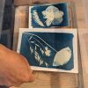 Initiation cyanotype - Vendredi 14 novembre 2025 14h-16h - Image 4