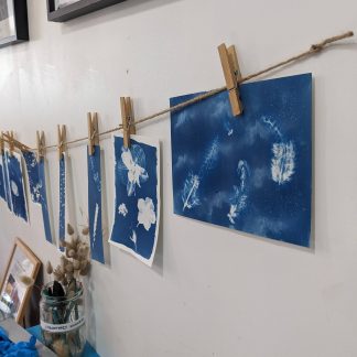 Initiation au cyanotype - Mardi 20 janvier 2026 De 14h à 16h