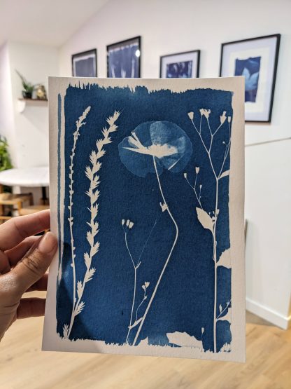 Initiation cyanotype - Samedi 4 octobre 2025 10h-12h