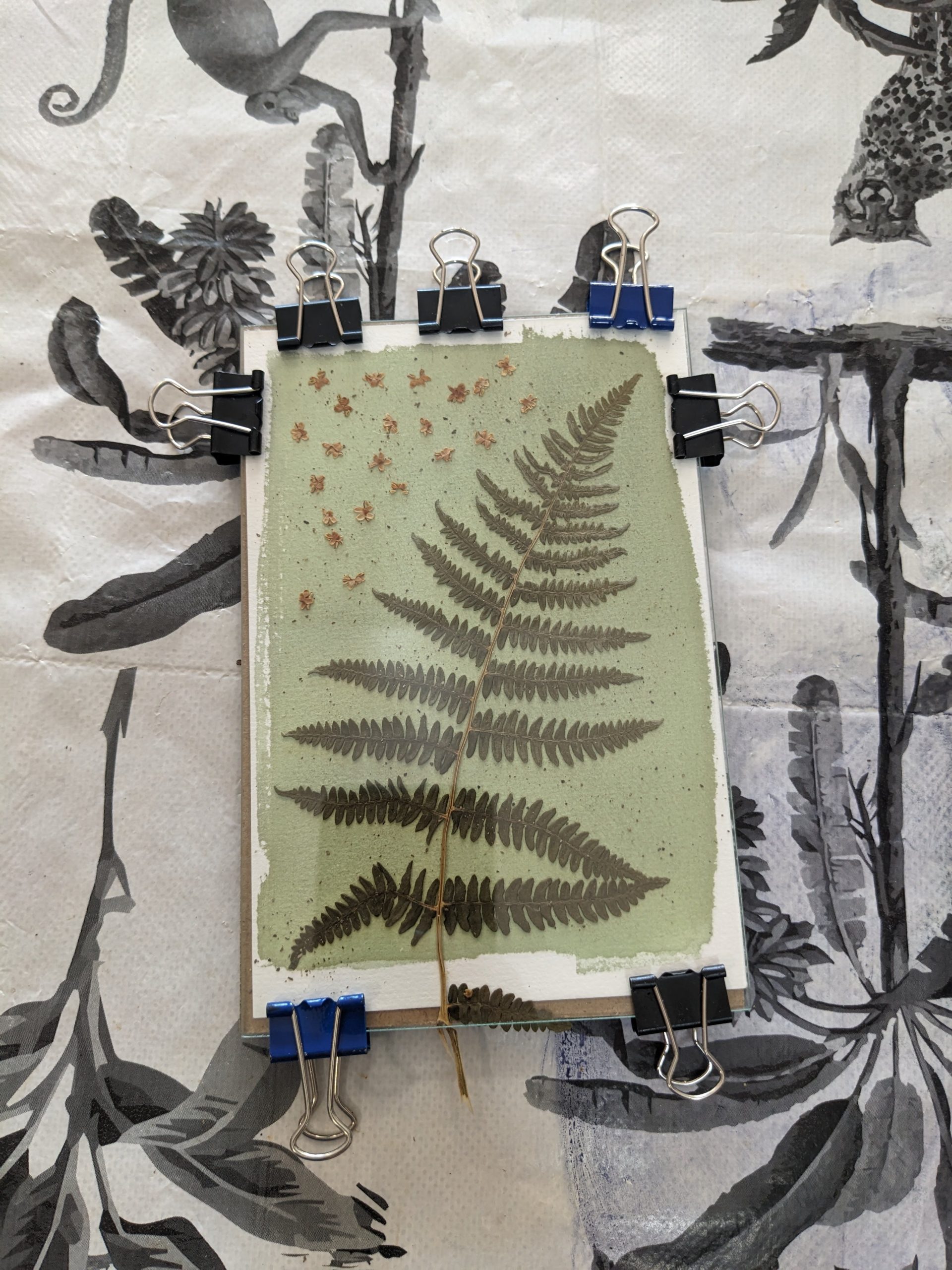 Réalise tes cartes de Noël en cyanotype - Mercredi 10 décembre 2025 de 15h à16h30 - Image 2