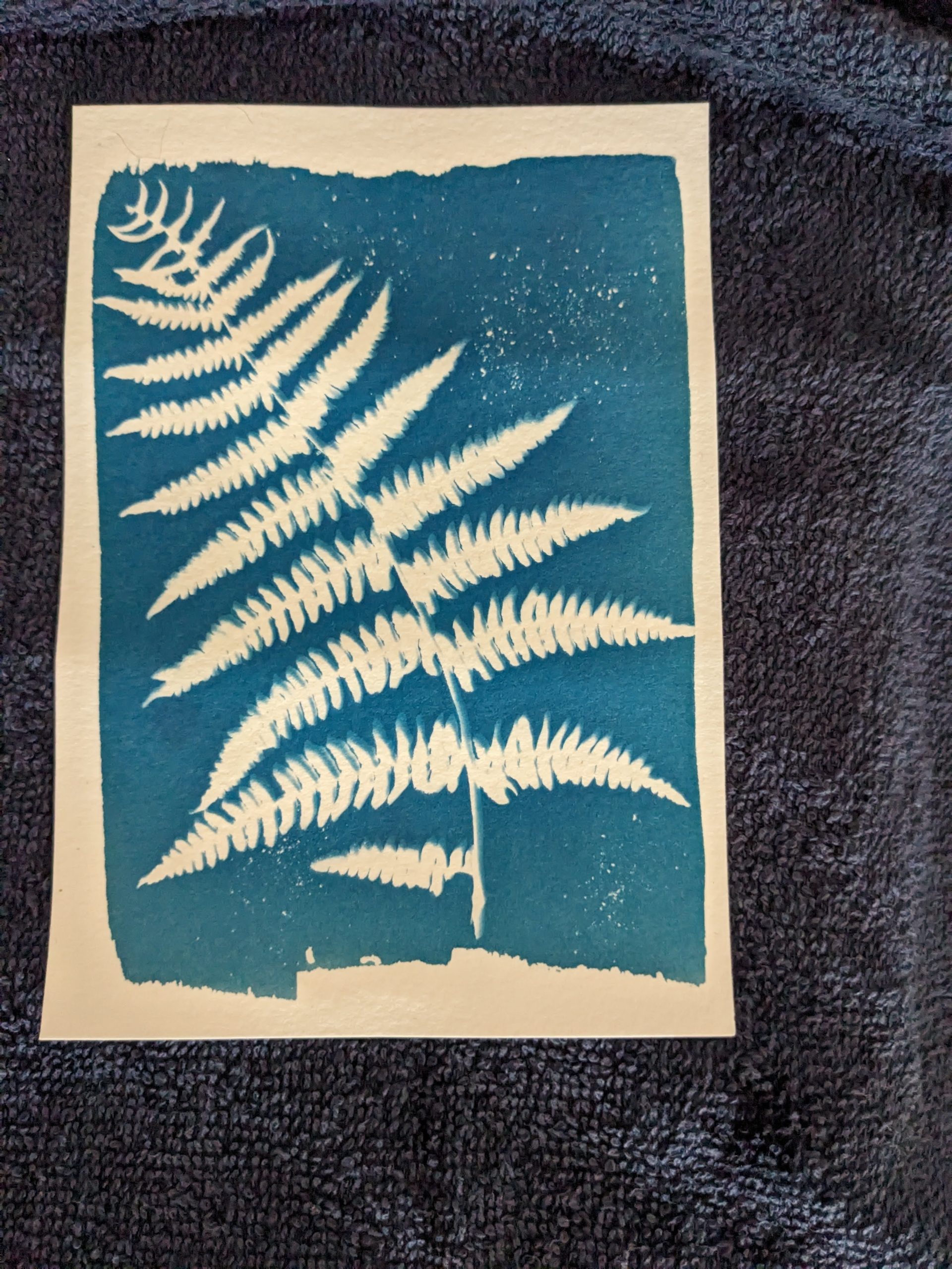 Réalise tes cartes de Noël en cyanotype - Mercredi 10 décembre 2025 de 15h à16h30 - Image 3