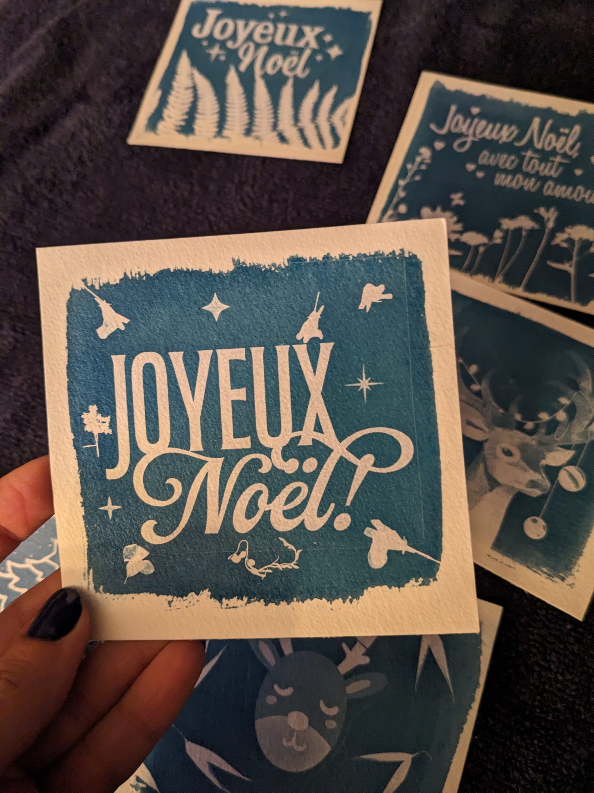 Réalise tes cartes de Noël en cyanotype - Mercredi 10 décembre 2025 de 15h à16h30 - Image 5