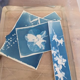 Initiation au cyanotype - Samedi 31 janvier 2026 De 10h à 12h