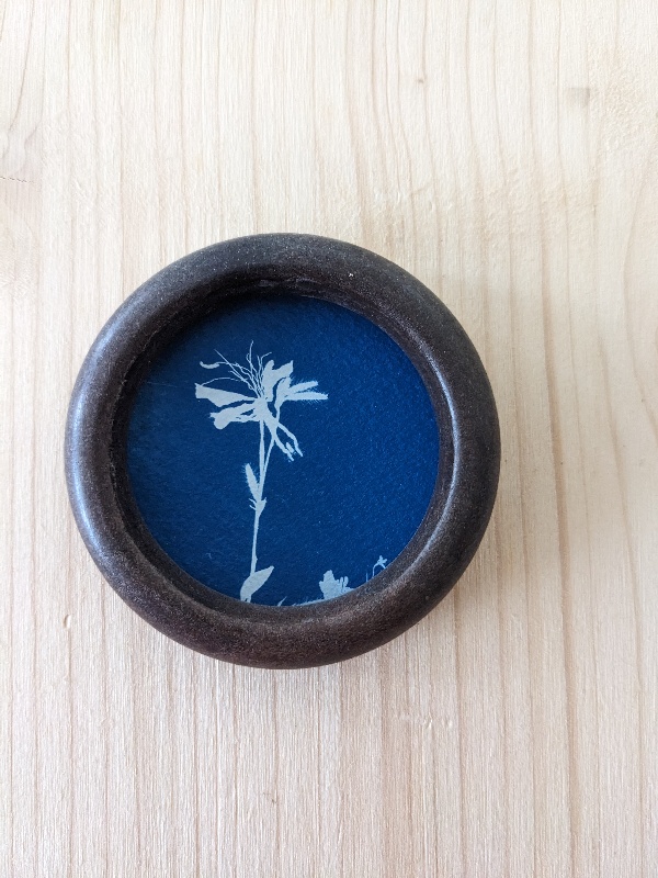 Mignonnerie - cyanotype botanique mural - harmonie