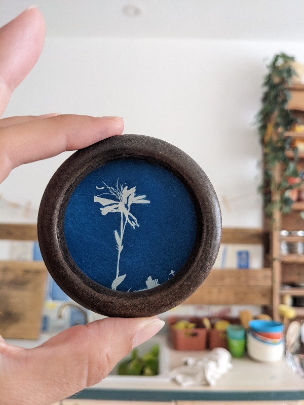Mignonnerie - cyanotype botanique mural - harmonie - Image 2