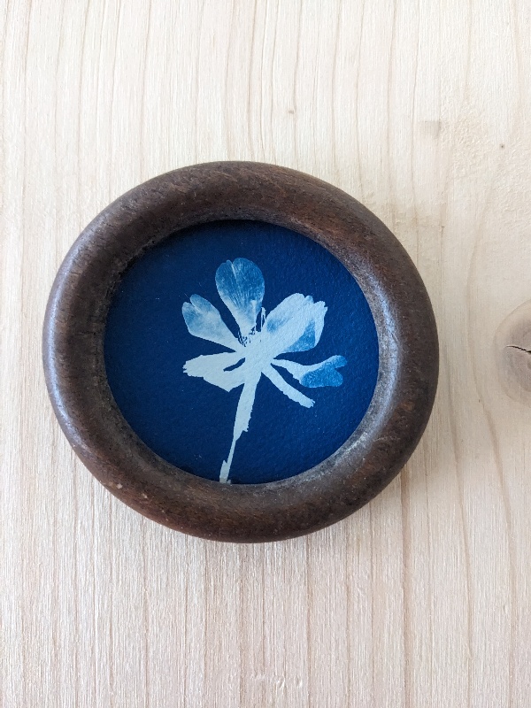 Mignonnerie - cyanotype botanique mural - raffinement