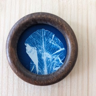 Mignonnerie - cyanotype botanique mural - transparence