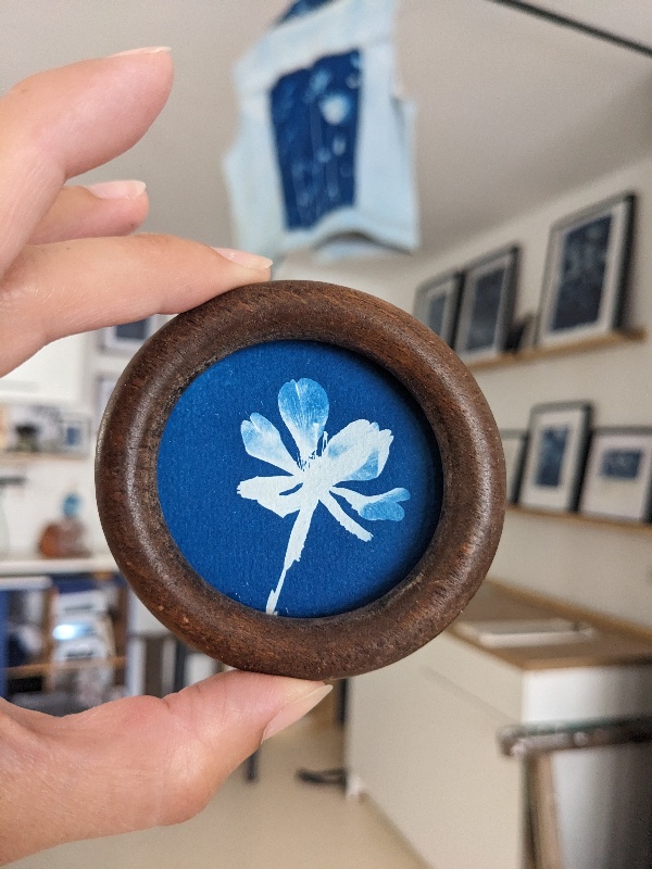 Mignonnerie - cyanotype botanique mural - raffinement - Image 2